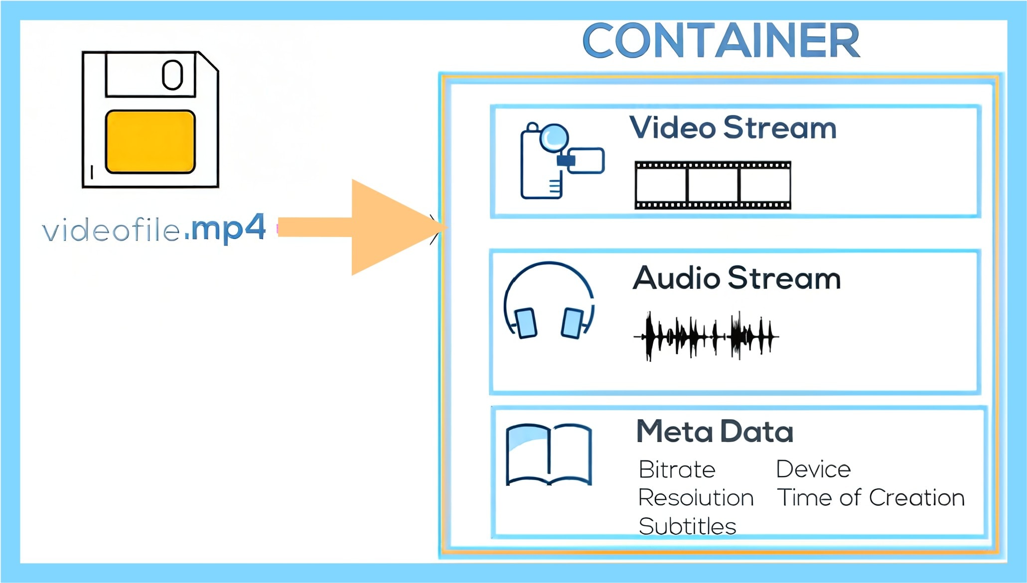 video format container