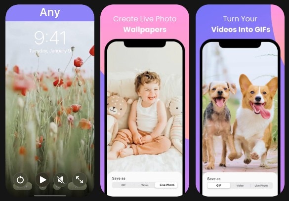 convert gif app interface