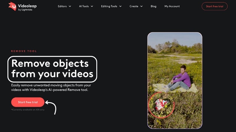 videoleap object remover
