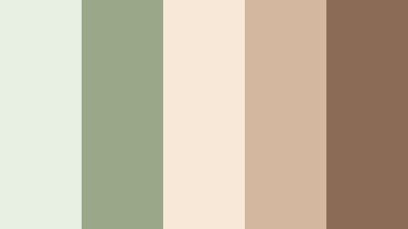 vintage cafe postcard sage green and beige cafe color color palette with hex codes