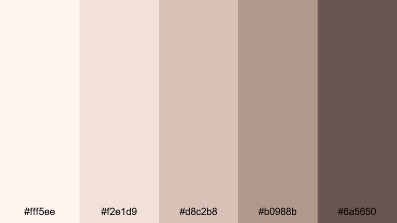 vintage lace whisper seashell color palette with hex codes