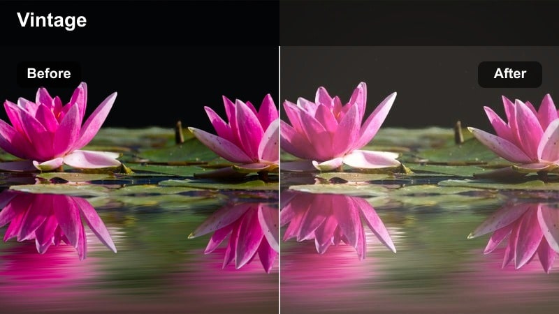 Sunny park scene with soft greens and warm vintage film tones.