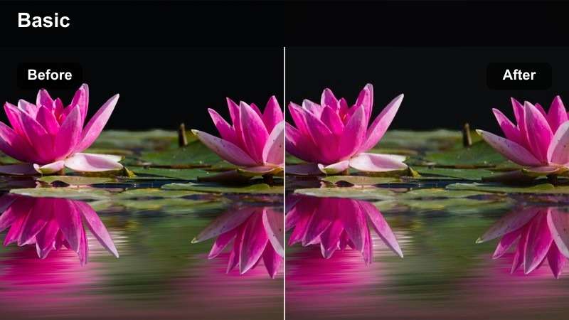 A colorful fast-cut vertical trend video using the Viral Vibrance filter