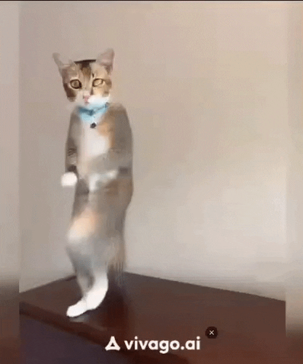 vivago ai video result