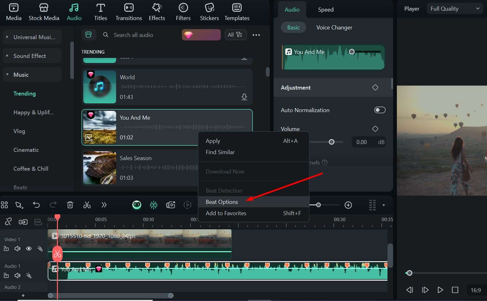filmora beat options