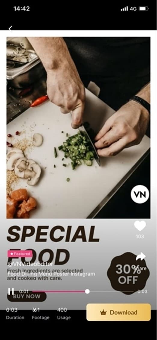 cooking vlog template