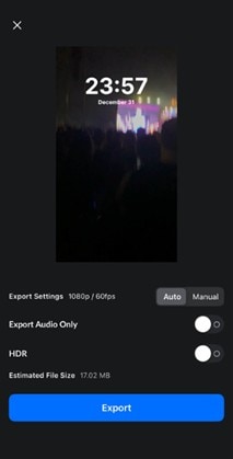 export vn video