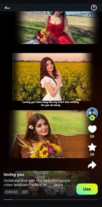 filmora template page