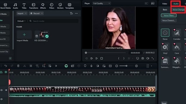 access voice changer