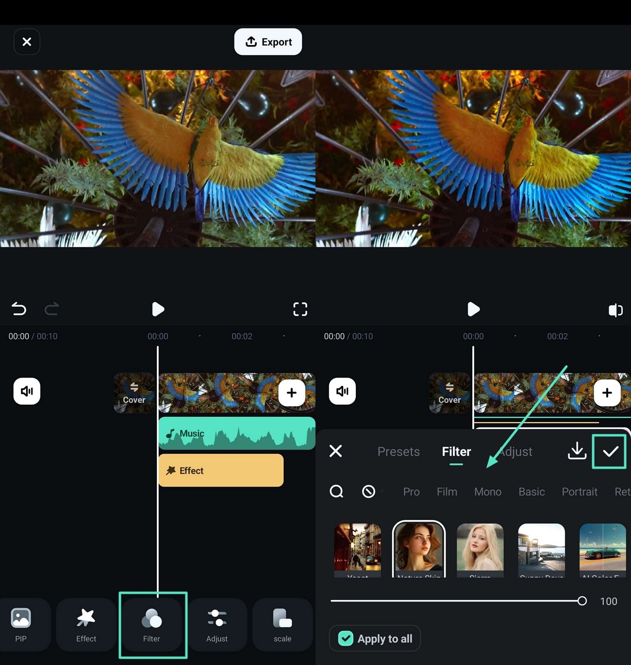 appliquer des filtres à la vidéo VR
