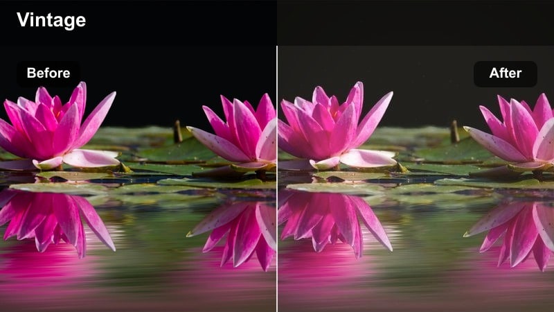 Classic film style warm amber street scene at sunset with soft glow and gentle contrast.