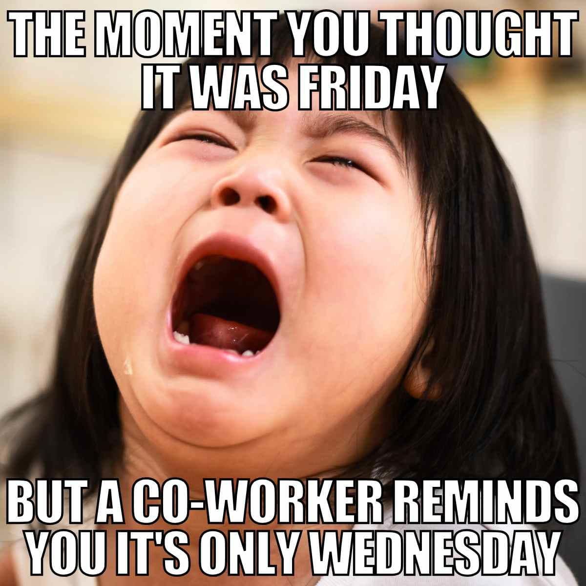 its wednesday reminder meme