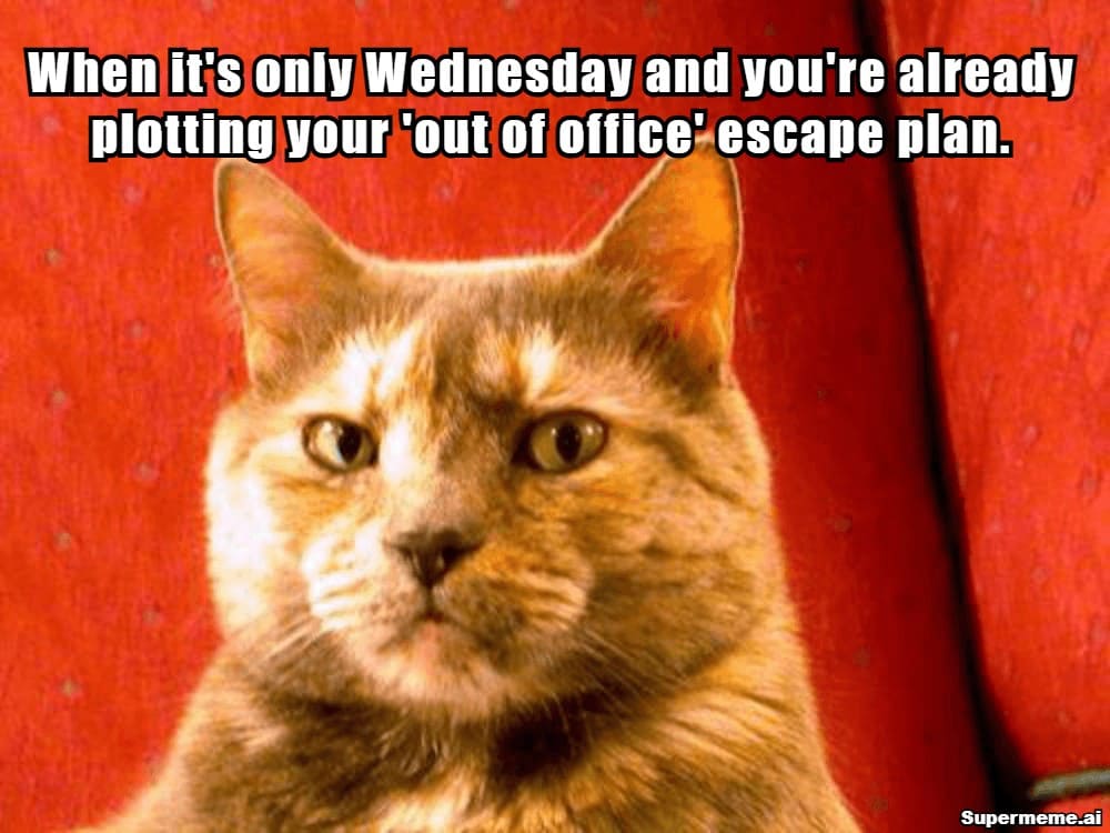 escaping the office wednesday meme