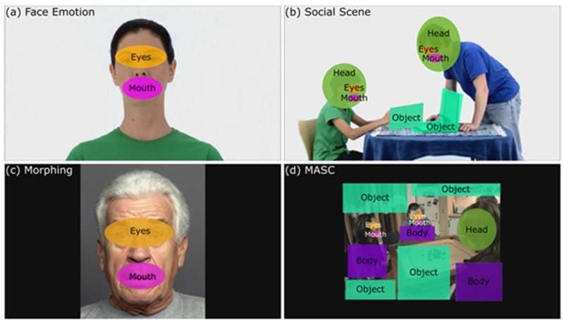 areas of interest in eye tracking