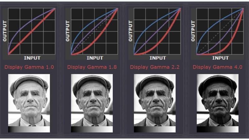 gamma curves input and output