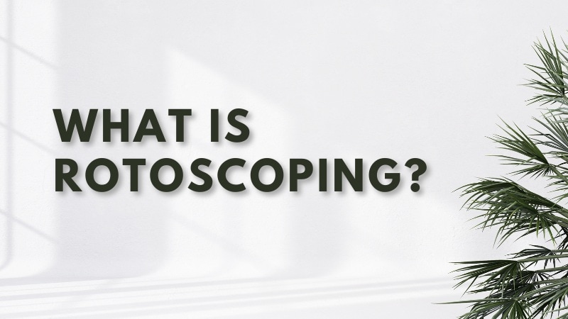 understanding what rotoscoping is