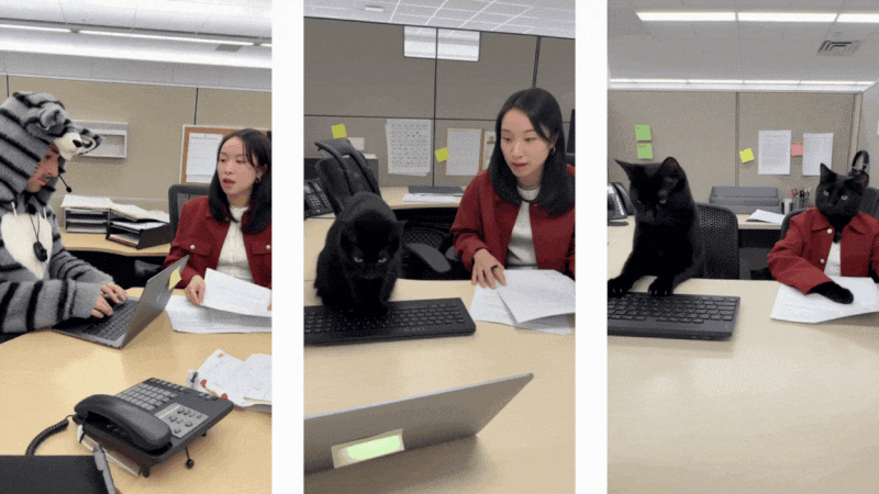 remix videos using sora