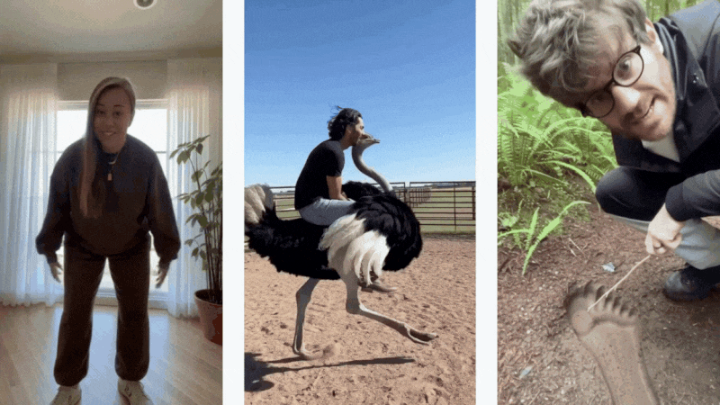 using sora for social media clips