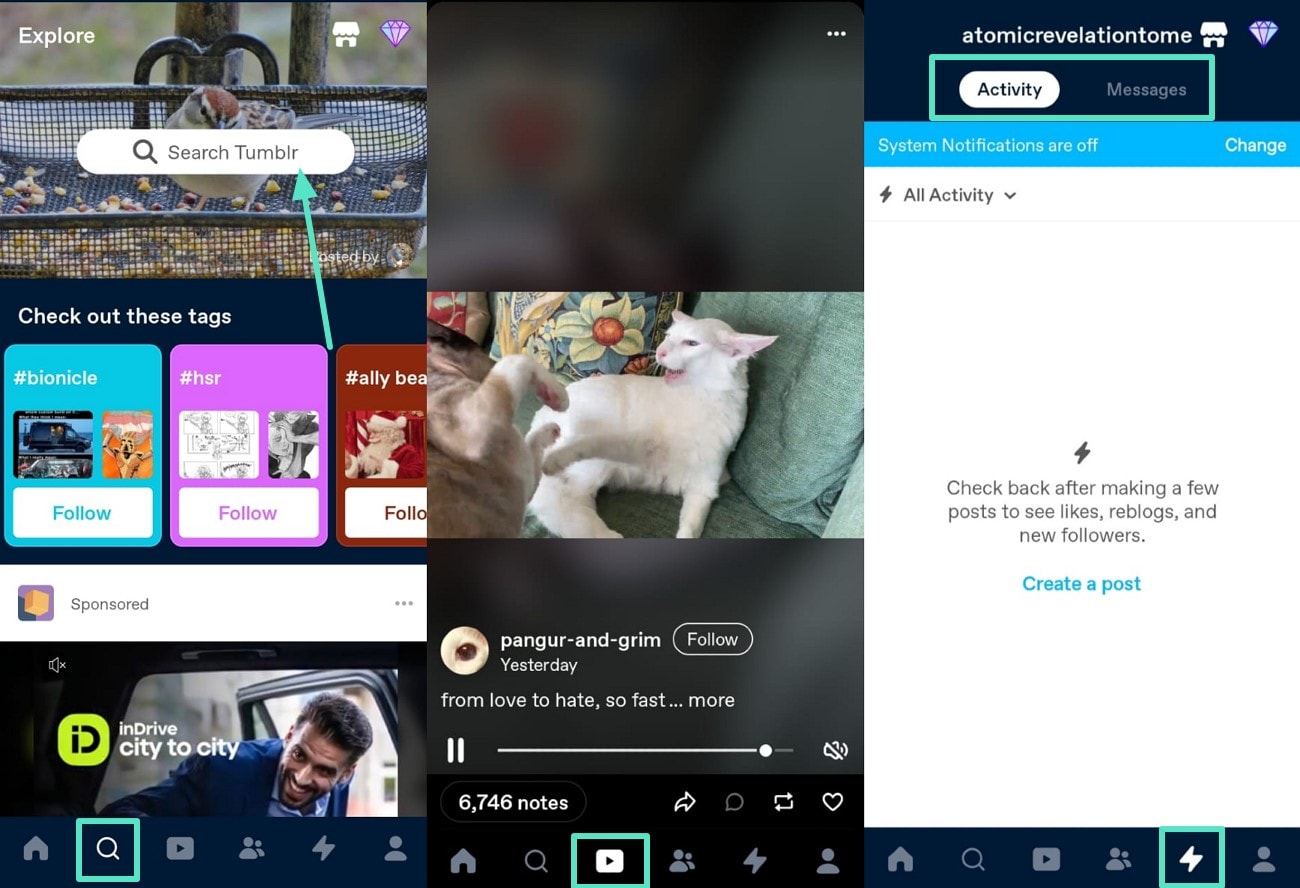 stream videos and track activities