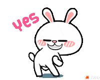 yupi cat yes dancing