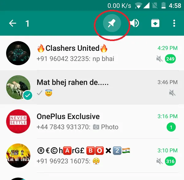 Whatsapp Pin Contatti prioritari