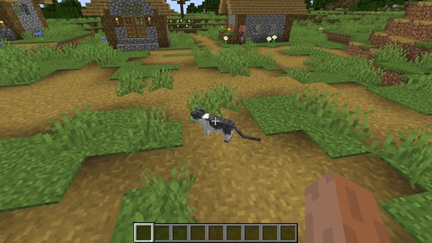 where-to-find-cats-minecraft