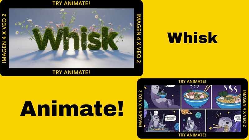 whisk animate the latest feature