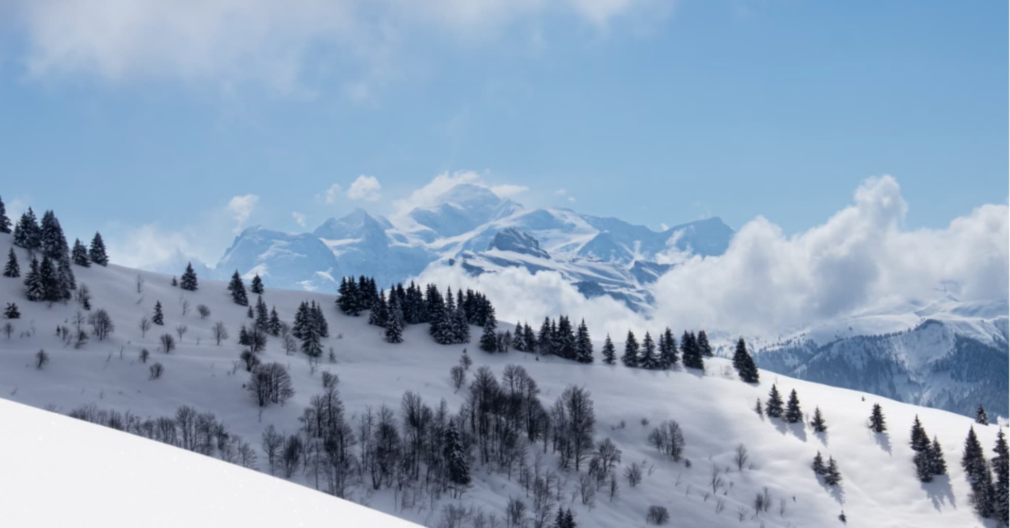 snow landscape shot