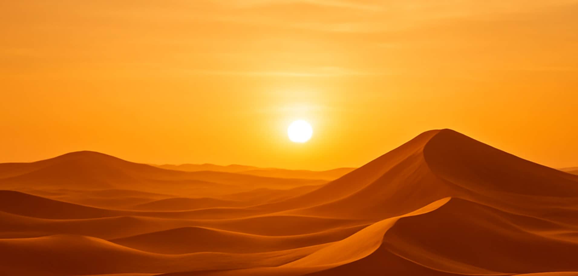 desert shot