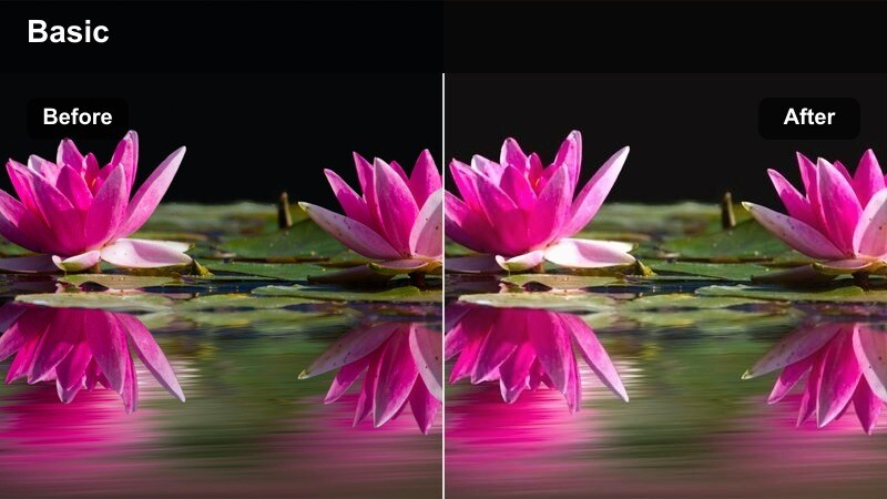 Content creator filming brunch in a bright kitchen next to a large sunlit window.