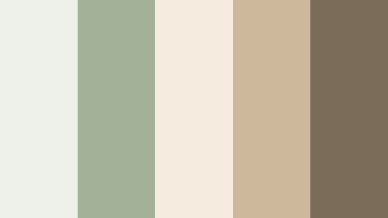 window light cafe sketch sage green and beige cafe color color palette with hex codes