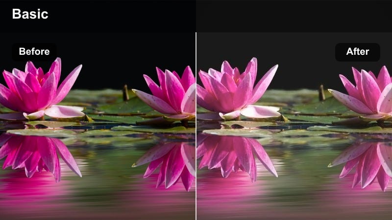 Talking head creator framed by a large window with soft pastel glow