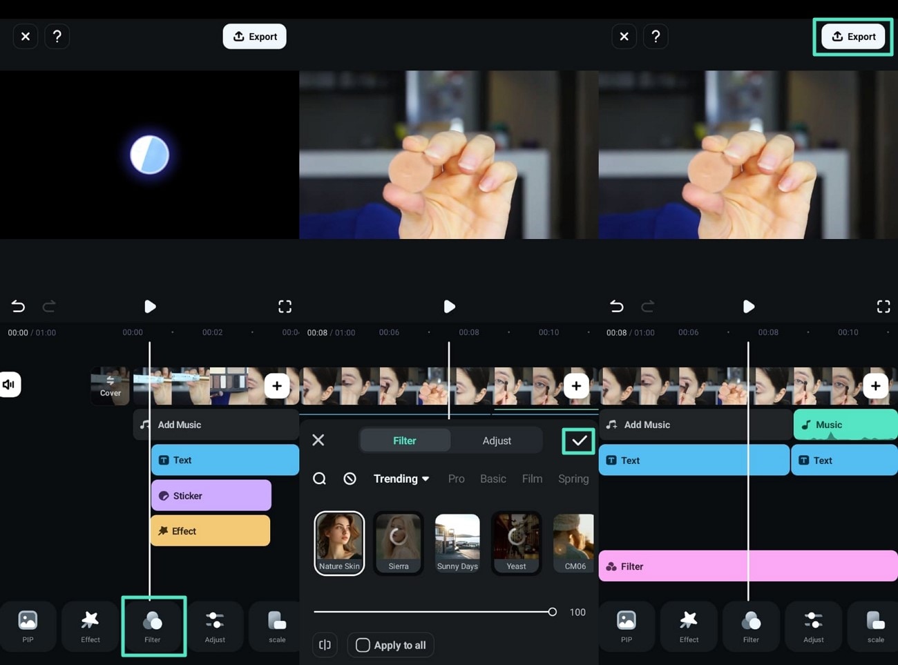 apply filters preview and export movie