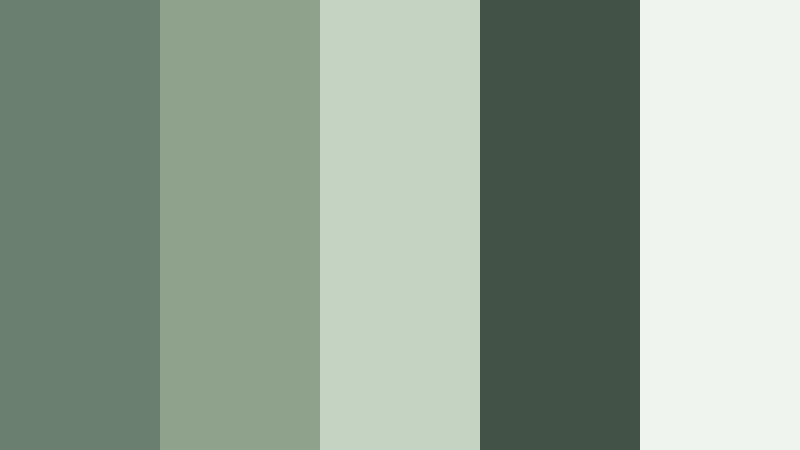 woodland canopy haze muted fern color palette with hex codes