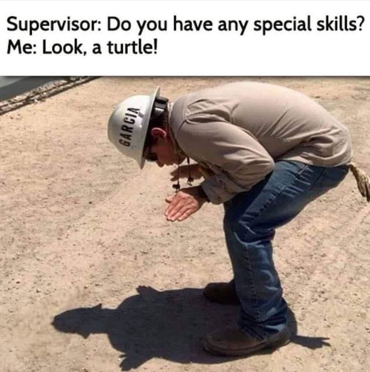 turtle skill meme