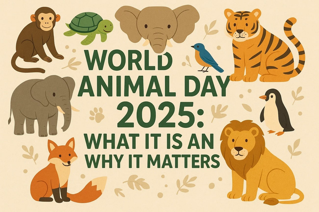 international world animal day