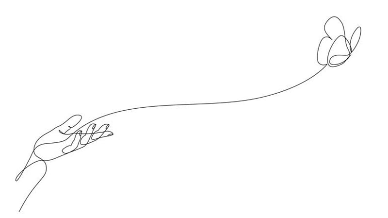 linework animation