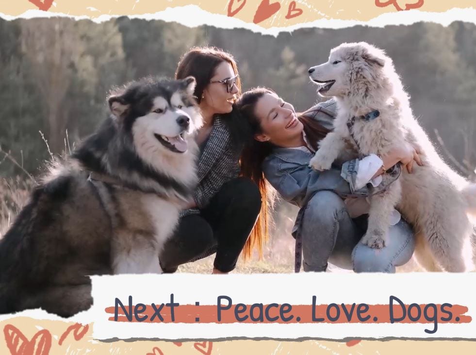 pet lover banner
