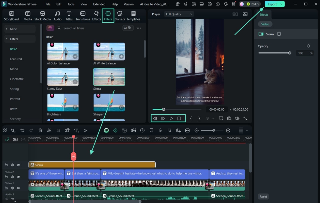 apply filters and export video