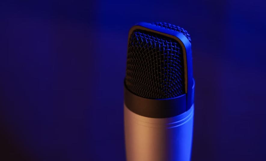 professional voiceover