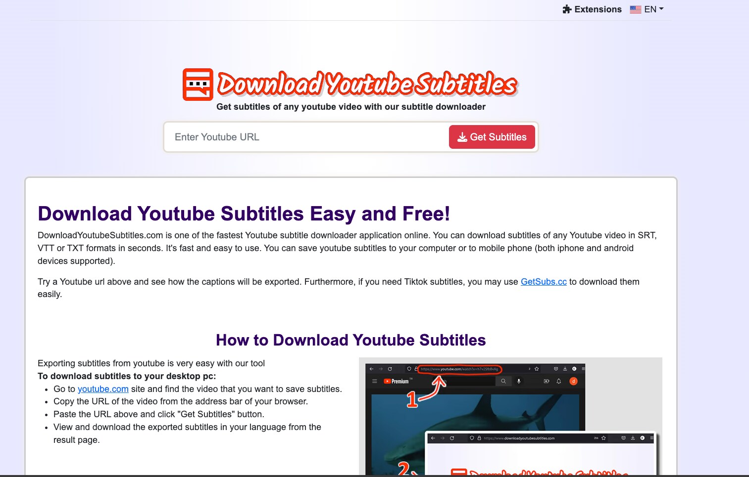 download youtube subtitles online