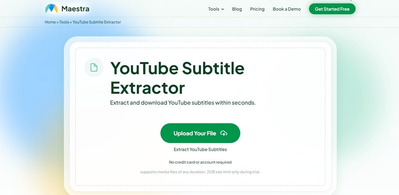 maestra youtube subtitle downloader