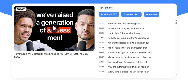 noiz youtube subtitle downloader