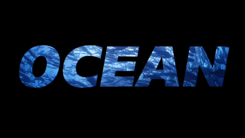 zoom in and out text effect