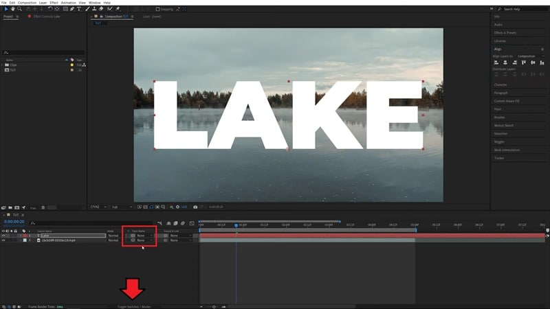 open the track matte option