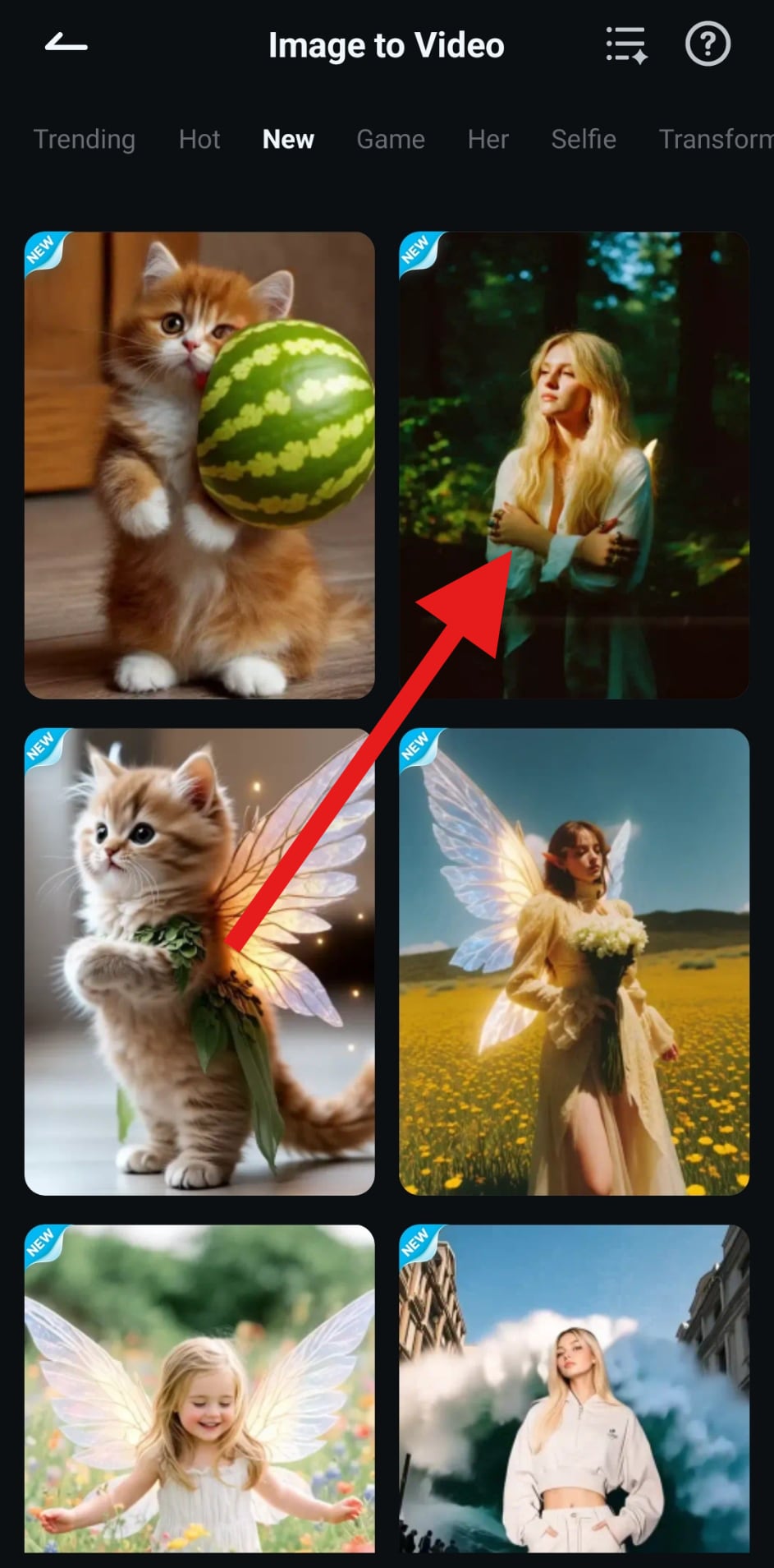 find fairy image to video template