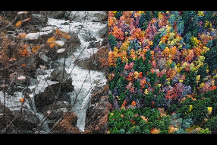 filmora split screen effect example gif