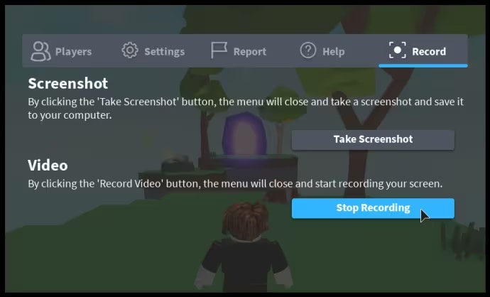 stop recording roblox