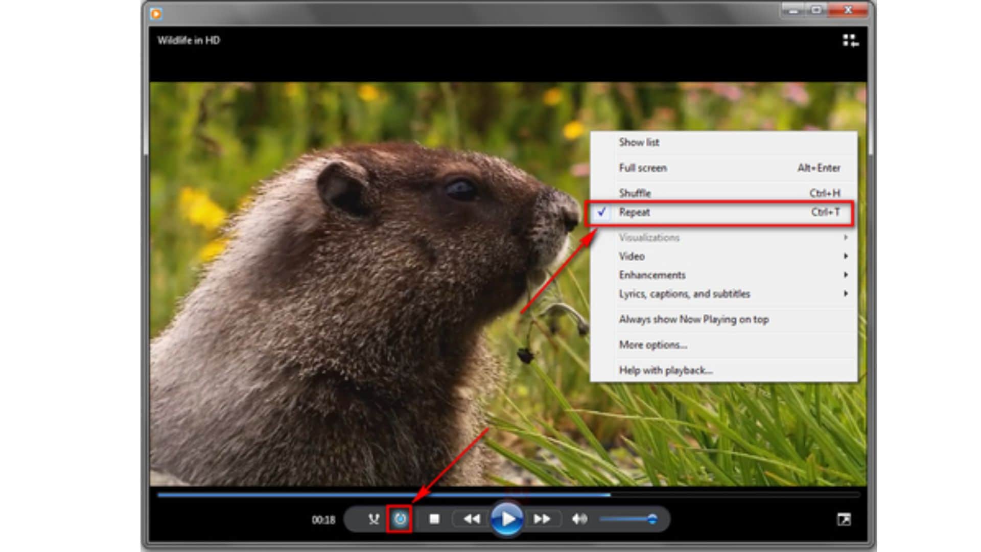 video looper software for windows