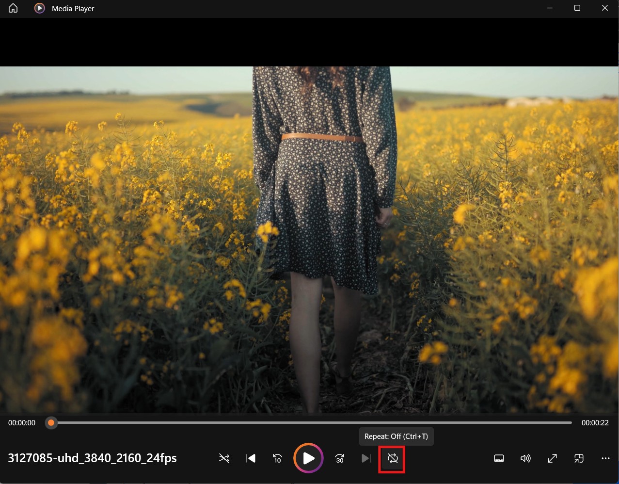 make video play on loop on windows